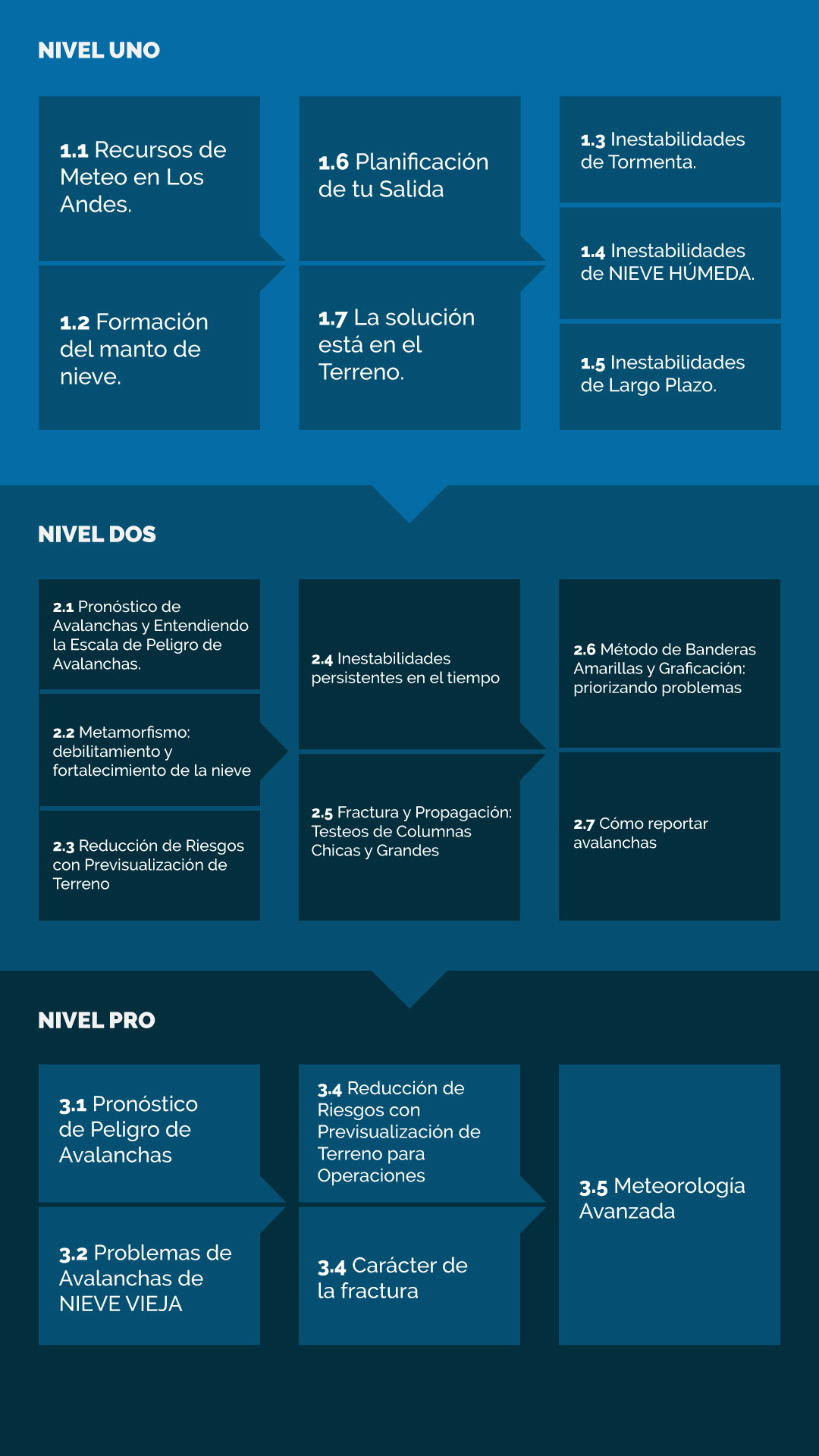 Clínicas Online Niveles